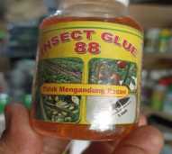 INSECT GLUE LEM LIKAT KUNING