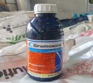 Herbisida GRAMOXONE 276SL