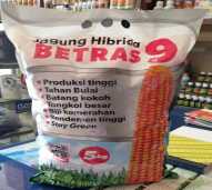 BENIH JAGUNG hibrida FANA MERAH ( per kg )