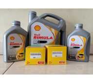 Oli Rimula Shell