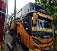 Big Bus (45 seat)