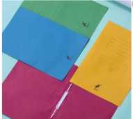 Map sneklter/tulsng kertas