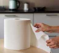 TISSUE TOILET