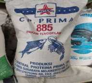 Pakan Induk Ikan Tenggelam