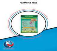 Gambar RNA