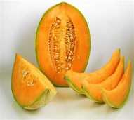 Buah Melon