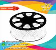 SMD LED STRIP 100M